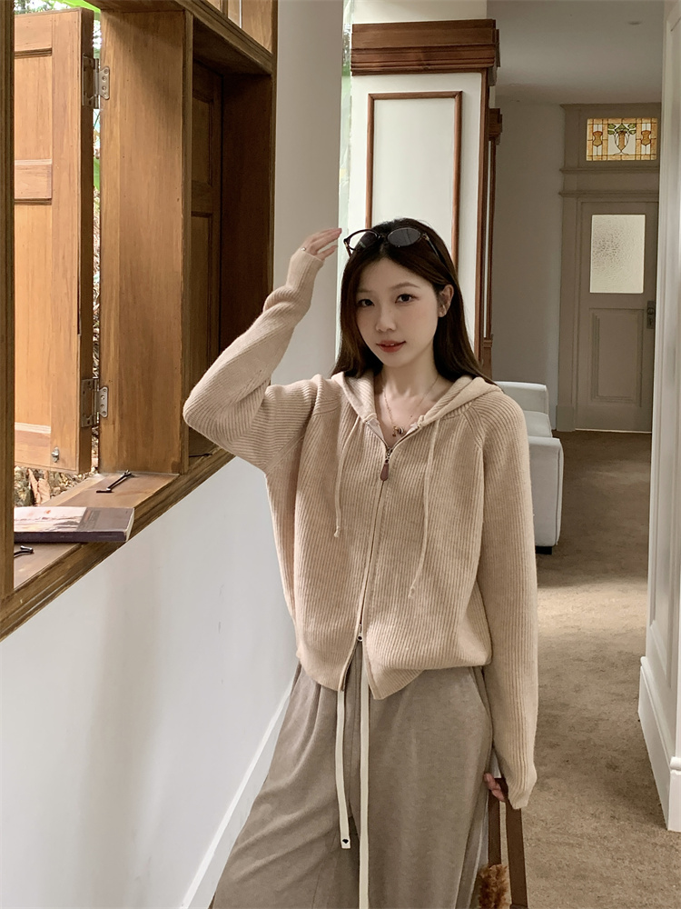 2025 Autumn Plus Size Women's Slimming Korean Style Knit Cardigan Sweater - Image 4