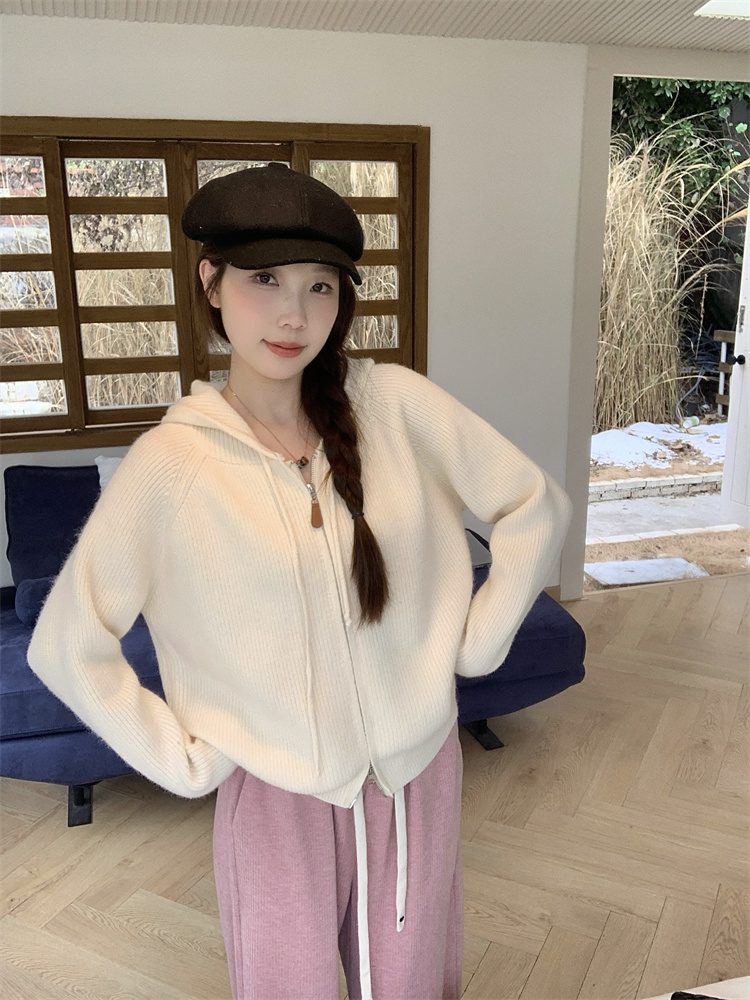 2025 Autumn Plus Size Women's Slimming Korean Style Knit Cardigan Sweater - Image 3